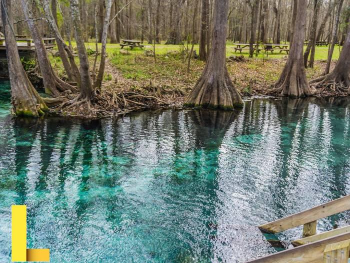 11 Best Parks in Orlando According To A Local