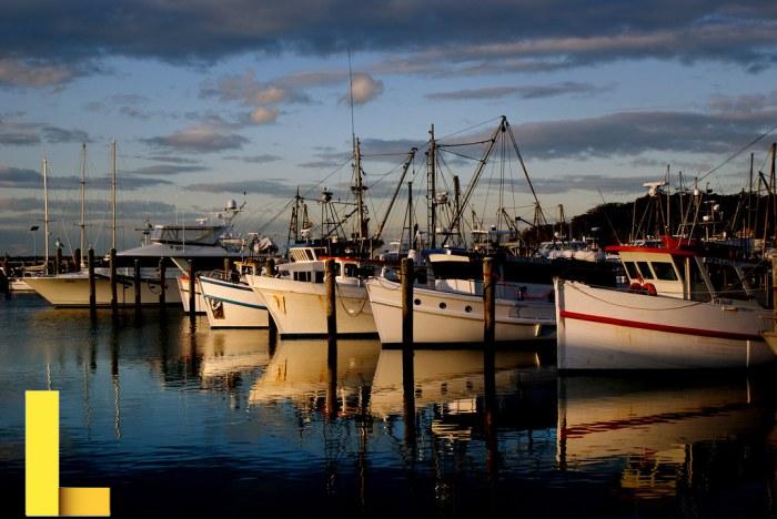 Port Stephens. NSW Australia. | Port Stephens is a popular t… | Flickr