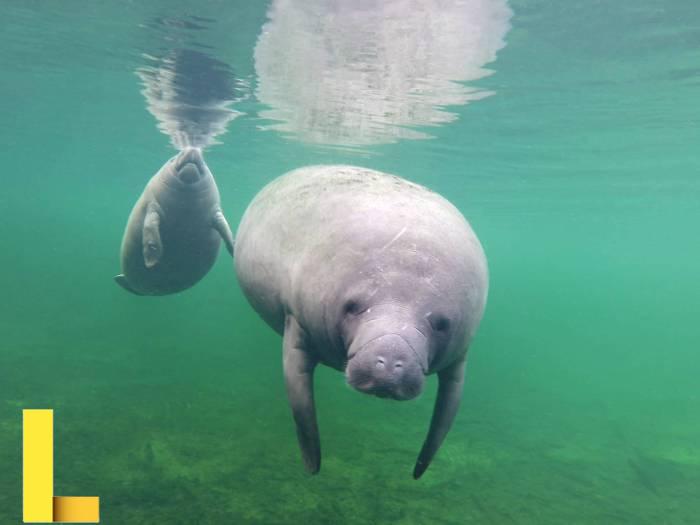 Orlando parks and recreation