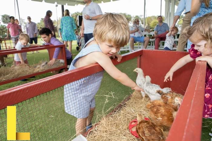 2022 Family Picnic - Hanley Foundation Willies picnic 2
