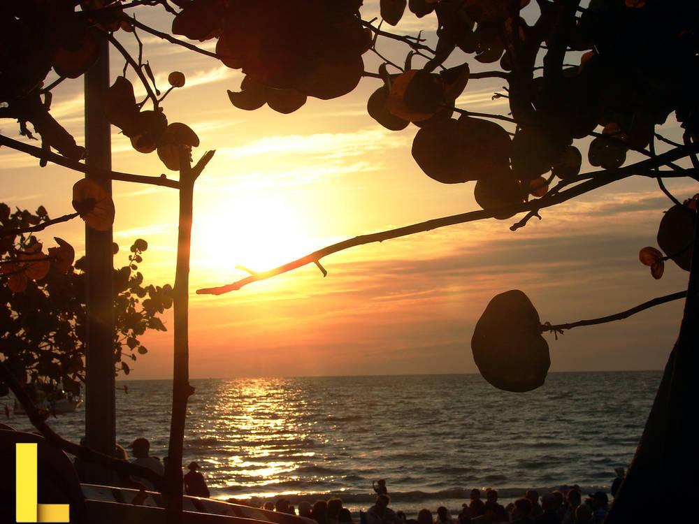 Tampa picnic company