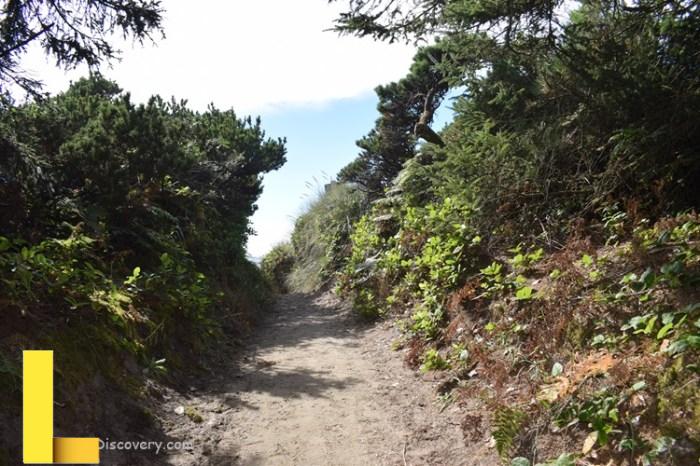 Beachside State Recreation Site - Beachfront Campground With 6 Miles Of ...