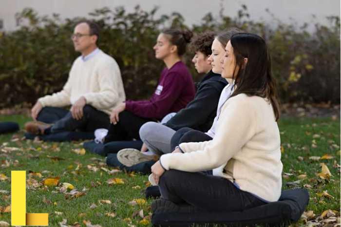 Recreational therapy degree california