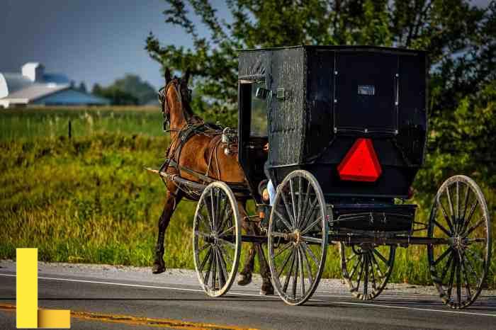 What Is the Amish Religion? (For Beginners) - ComposeMD