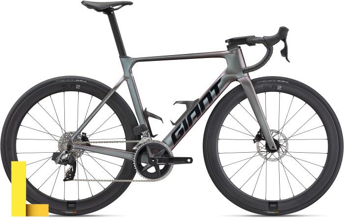 Giant recreation world palm bay