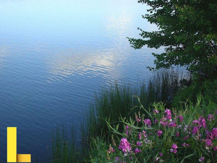 Summer Time Free Stock Photo - Public Domain Pictures