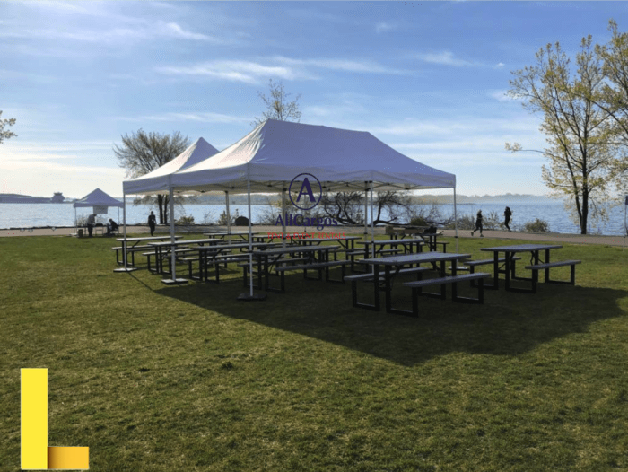 Picnic Table | The Party Rentals Resource Company