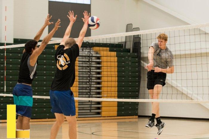 Recreational volleyball