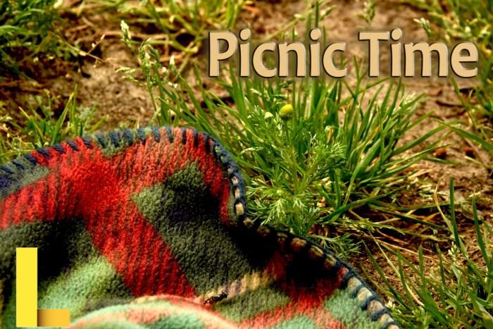 Picnic Time Free Stock Photo - Public Domain Pictures