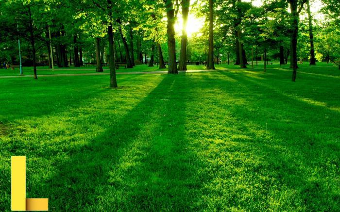 Types Of Green Color Chart - Free Printable Template