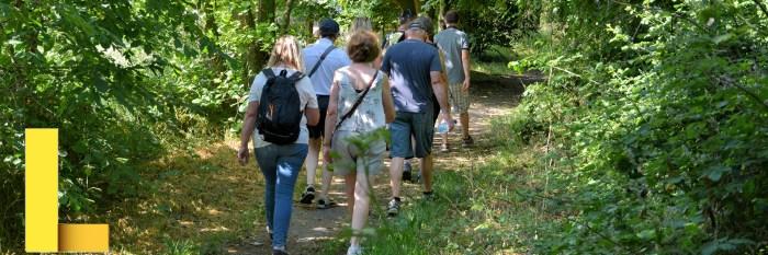 Parks and Recreation Management, M.S. Community Recreation Management ...