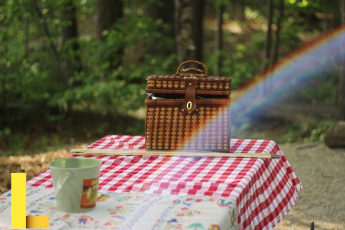 Fotos gratis : mesa, banco, verano, otoño, parque, arco iris, cesta de ...