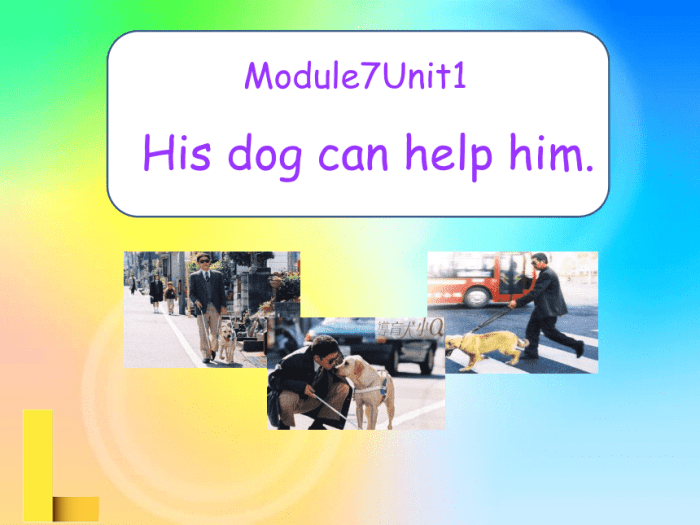 Where can i buy a smoked picnic ham