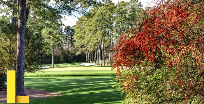 10 Best Masters in Parks and Recreation Degrees Online 2023 - Sports ...