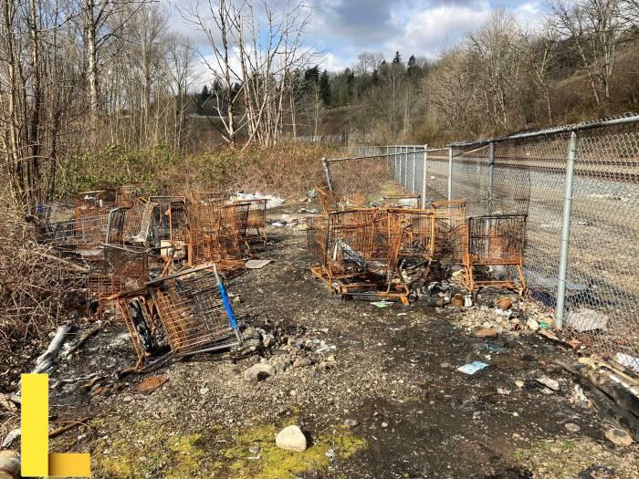 Summer camps and activities for kids this summer