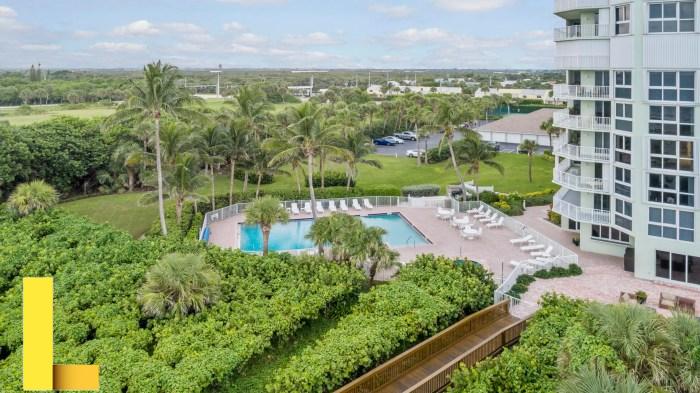 New mexico recreational dispensary license application