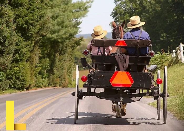 Amish wooden picnic tables