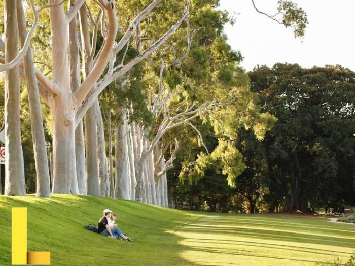 Ten of Australia's most exciting parks