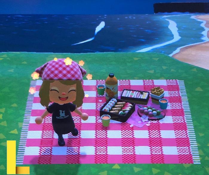 Made a little 3-piece picnic blanket for spring!! (and social ...