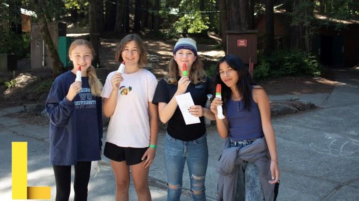 Summer Camp at the Woods — Westminster Woods