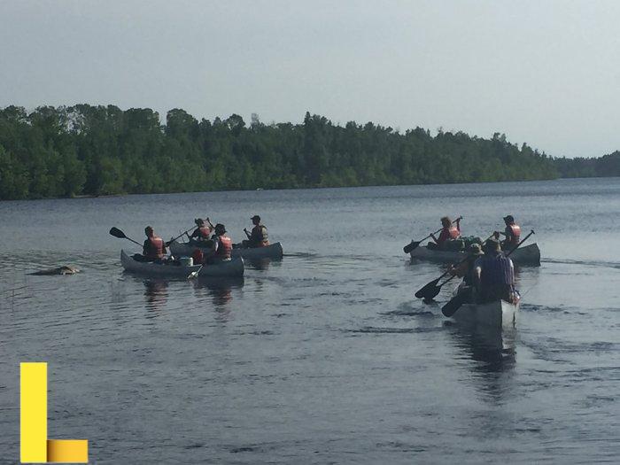 Gov. Walz authorizes National Guard to help search for missing ...