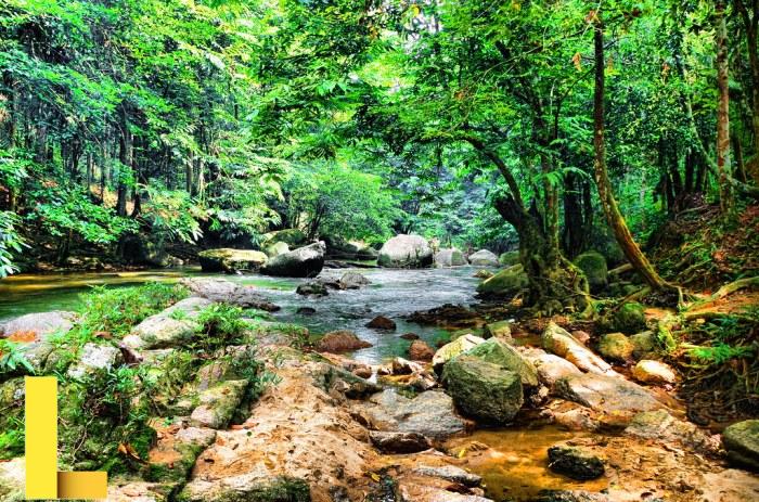 Lentang Recreational Forest | Hutan Lipur Lentang or Lentang… | Flickr