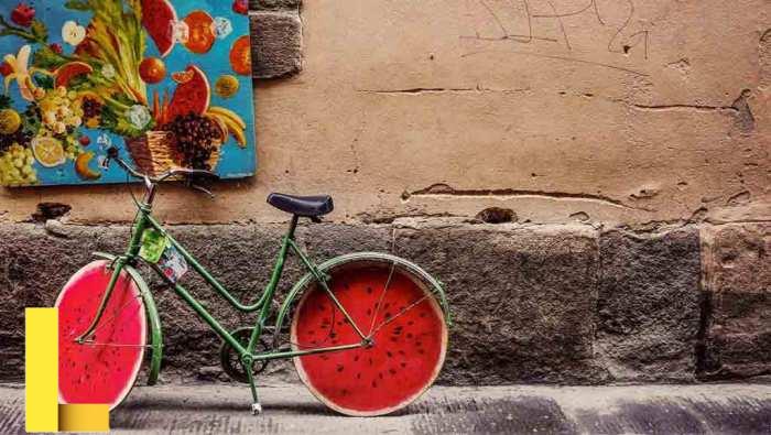 Fontainebleau A Forgotten Treasure – 美国财富人生频道官网