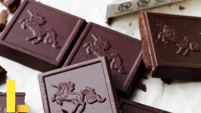 Chocolate and Sustainability Come to Campus