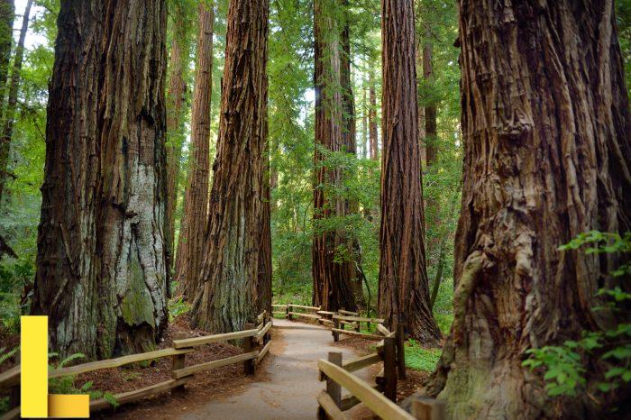 California State Parks