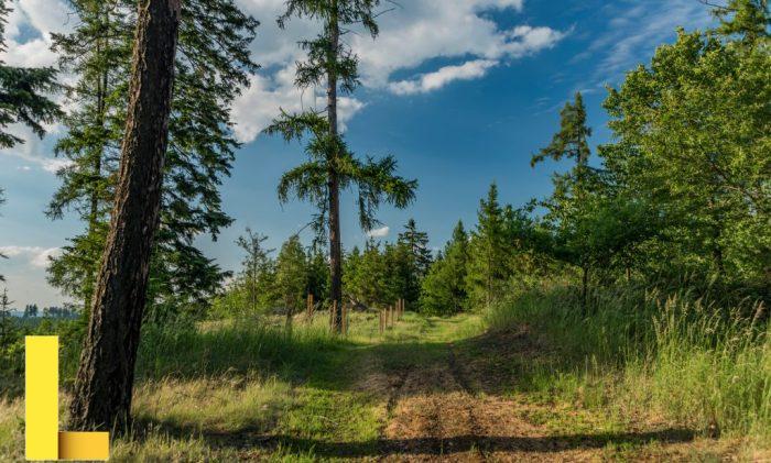 Recreational merchandise loan