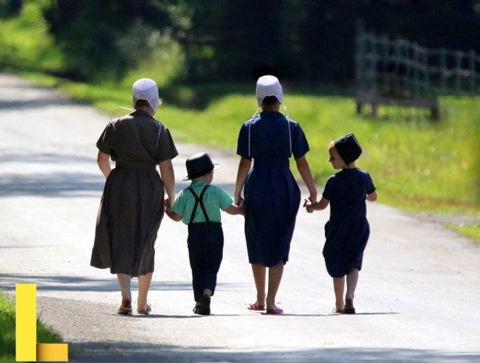 Amish Country in Trumbull County, OH | Truly Trumbull