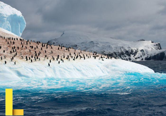 Antarctica travel brochure