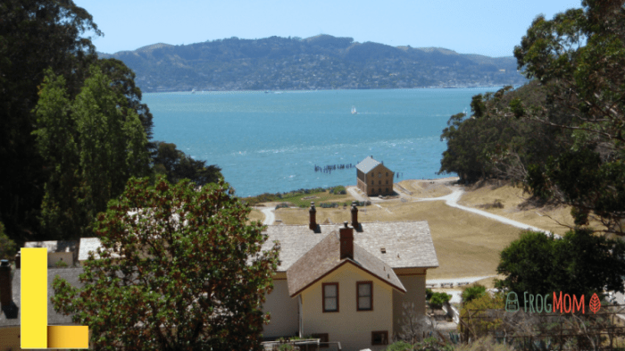 Best Picnic Spots in the Bay Area