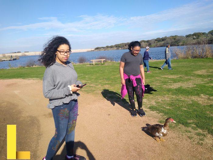 Best Spots in Austin to Picnic While Maintaining Social Distancing