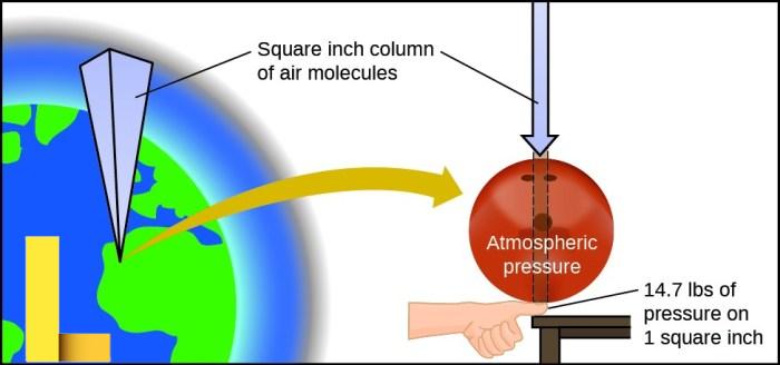 Cardiac Cycle · Anatomy and Physiology