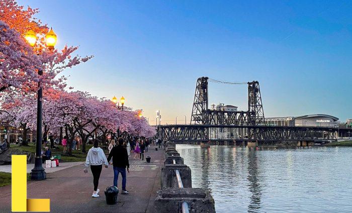 2023 NWSL Draft: Portland Thorns select 4 players — including defender ...