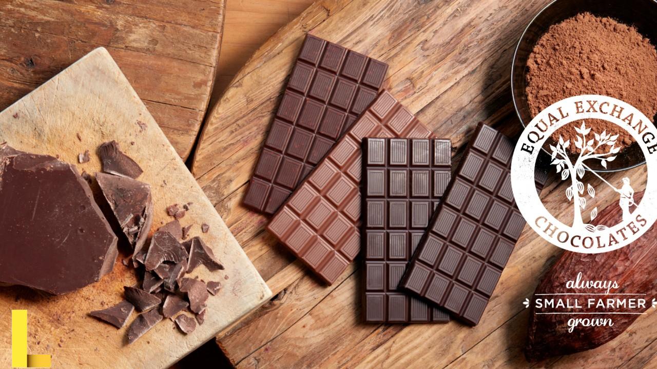 Fair Trade Chocolate and Cocoa | Equal Exchange