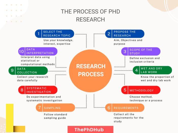 EdD Vs PhD: What’s the Difference? | UAGC