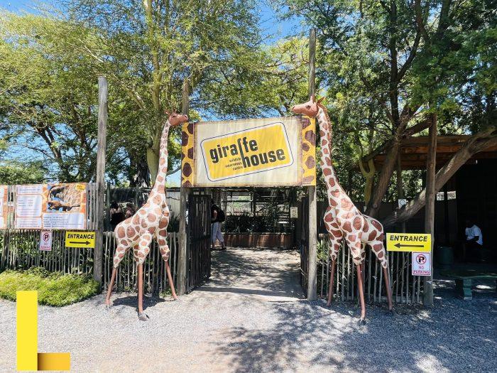 Bela Lugosi’s Dracula Cape Fails To Sell At Auction | The Bela Lugosi Blog