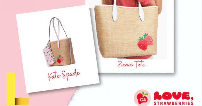 Kate spade picnic bag