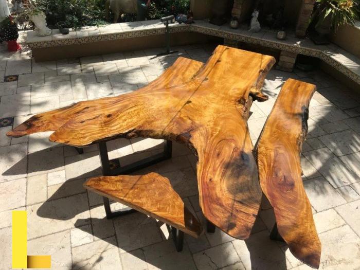 Cinnamomum Camphora Danla (Picnic Table) - Ponderosa WoodSlabs