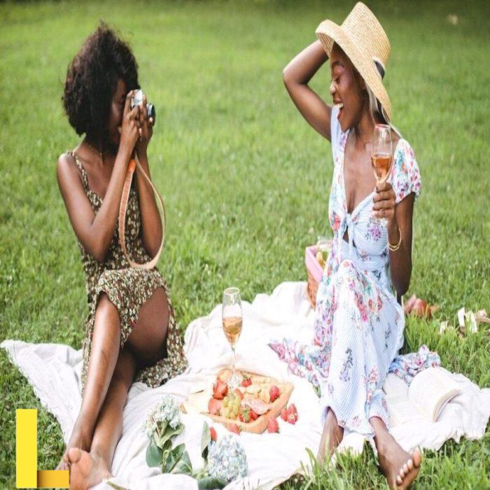 Luxury picnic chicago