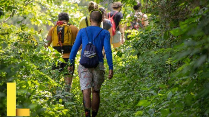 #nationalrecreationsystems #spring2025 #baseball #softball #bleachers ...