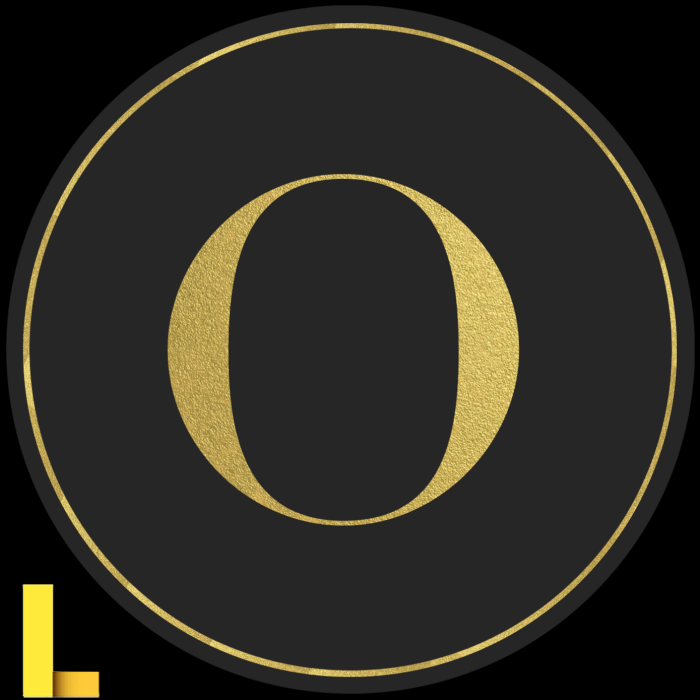 O neill picnic lunch bag