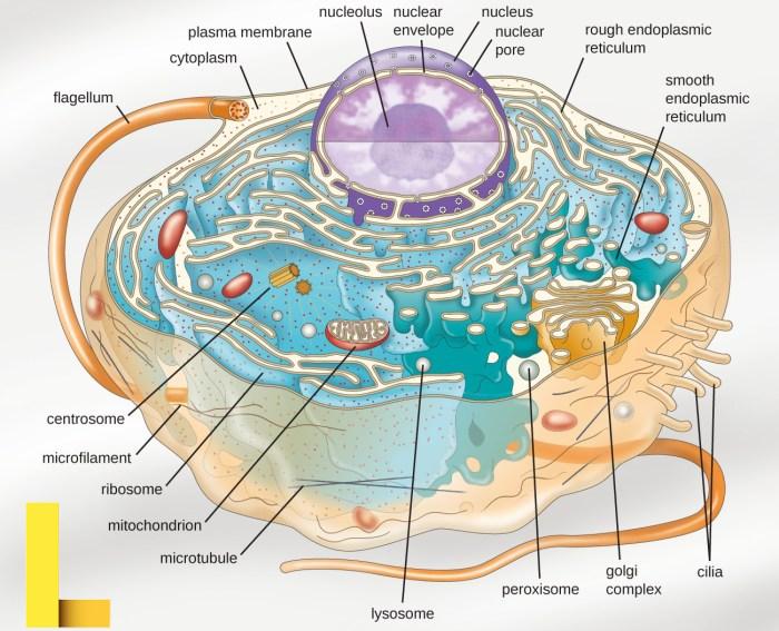 Short dress | JOIN MY NEWEST GROUPS! | Sophia Marquette | Flickr