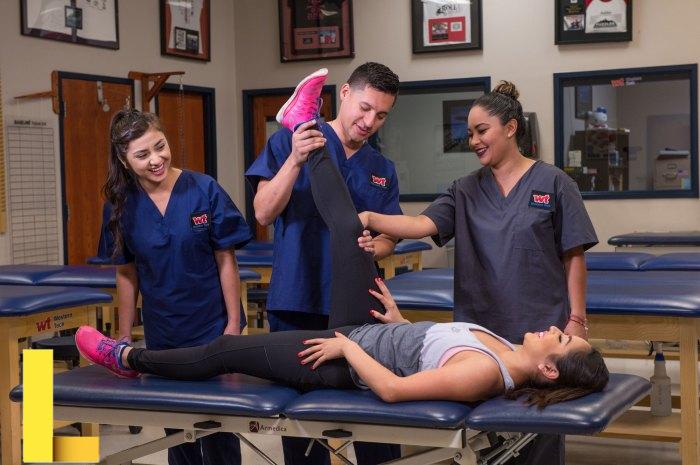 Physical Therapist Assistant - Western Technical College