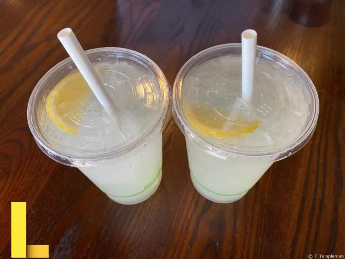 AmazingCo Mystery Picnic review – The Travel Temple