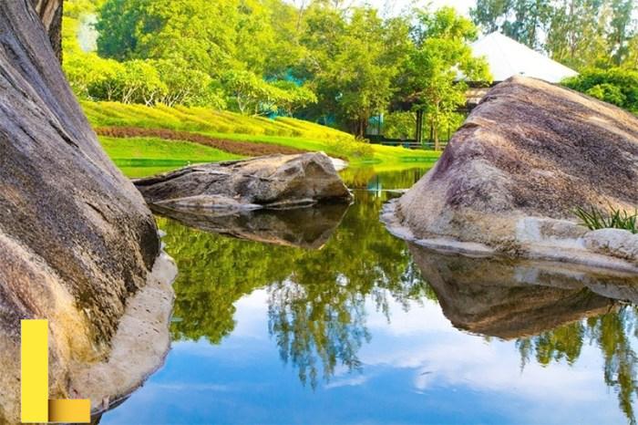 Great Picnic Areas Around the Bay Area