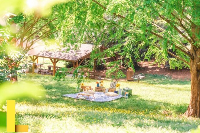 Luxury picnic charlotte nc