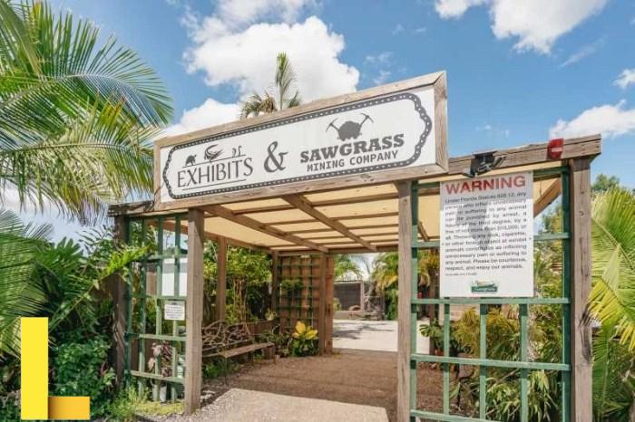 Sawgrass Recreation Park in Weston | VISIT FLORIDA